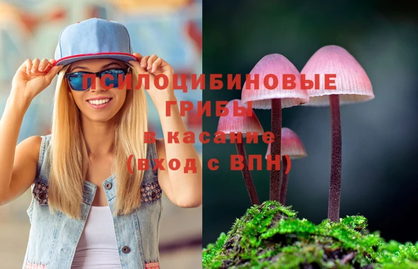 а пвп мука Козельск