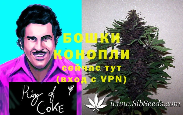 spice Кодинск