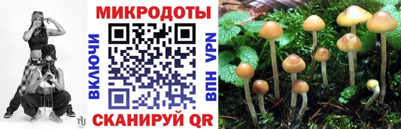 Псилоцибиновые грибы мицелий Малая Вишера